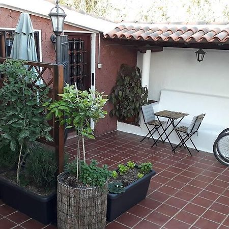 Apartamento Tranquilo En Una Casa Con Jardin Σαν Κριστόμπαλ ντε Λα Λαγούνα Εξωτερικό φωτογραφία