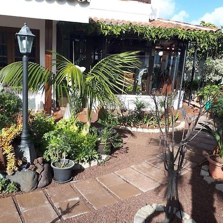 Apartamento Tranquilo En Una Casa Con Jardin Σαν Κριστόμπαλ ντε Λα Λαγούνα Εξωτερικό φωτογραφία