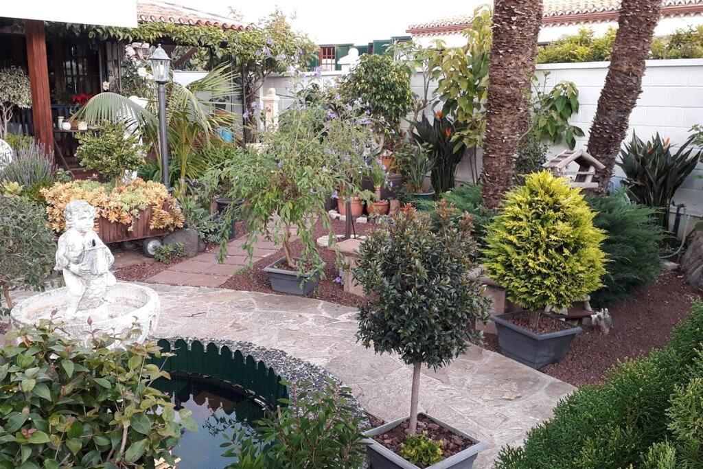 Apartamento Tranquilo En Una Casa Con Jardin Σαν Κριστόμπαλ ντε Λα Λαγούνα Εξωτερικό φωτογραφία