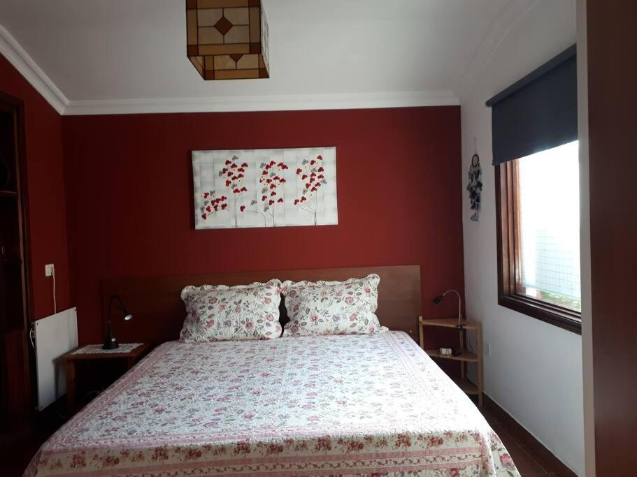 Apartamento Tranquilo En Una Casa Con Jardin Σαν Κριστόμπαλ ντε Λα Λαγούνα Εξωτερικό φωτογραφία