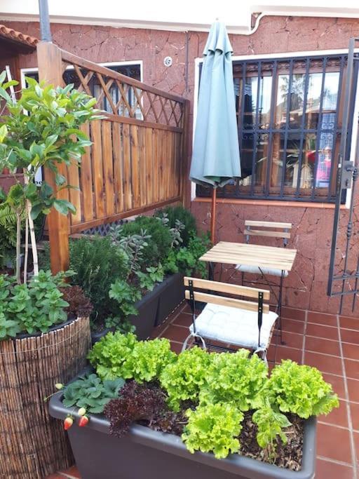 Apartamento Tranquilo En Una Casa Con Jardin Σαν Κριστόμπαλ ντε Λα Λαγούνα Εξωτερικό φωτογραφία