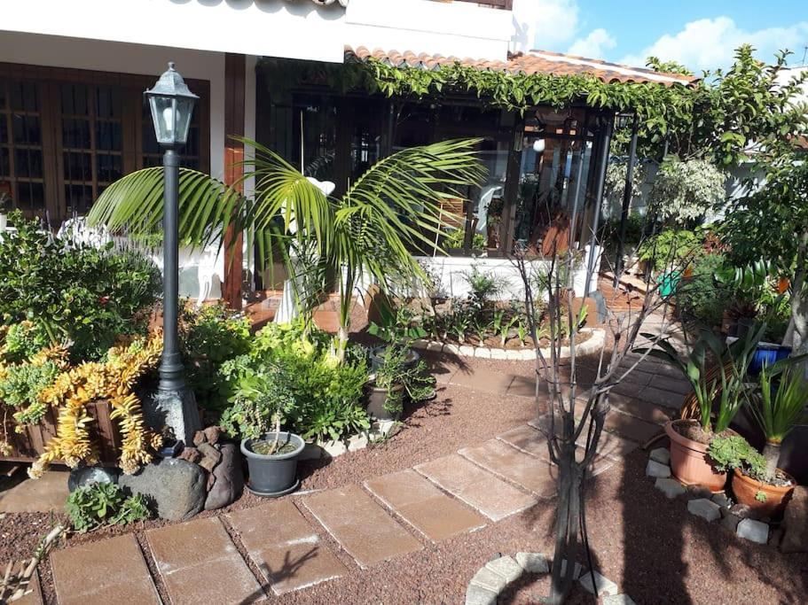 Apartamento Tranquilo En Una Casa Con Jardin Σαν Κριστόμπαλ ντε Λα Λαγούνα Εξωτερικό φωτογραφία